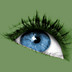 Sante DICOM Viewer Free(ҽѧDICOMͼ) V5.3 ʽ
