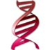 Oligo V7.56 Ѱ