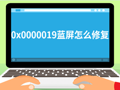 0x0000019