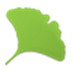 Gingko(ʽд) V2.4.6 ٷ
