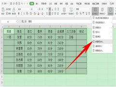 ExcelʱԶעɫ