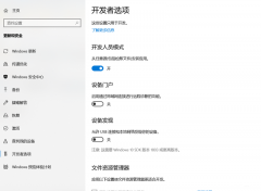 Win10޷װСͬѧUWPô죿
