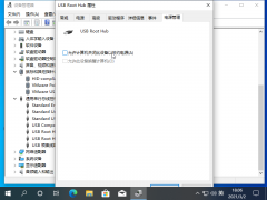 Win10USB粻ô죿USB粻С