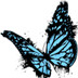 TVPaint Animation 11 Pro Ѱ