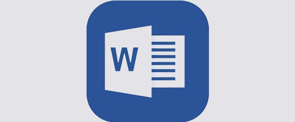 WPSô˰ɼ¼WPS˰ͳƱ