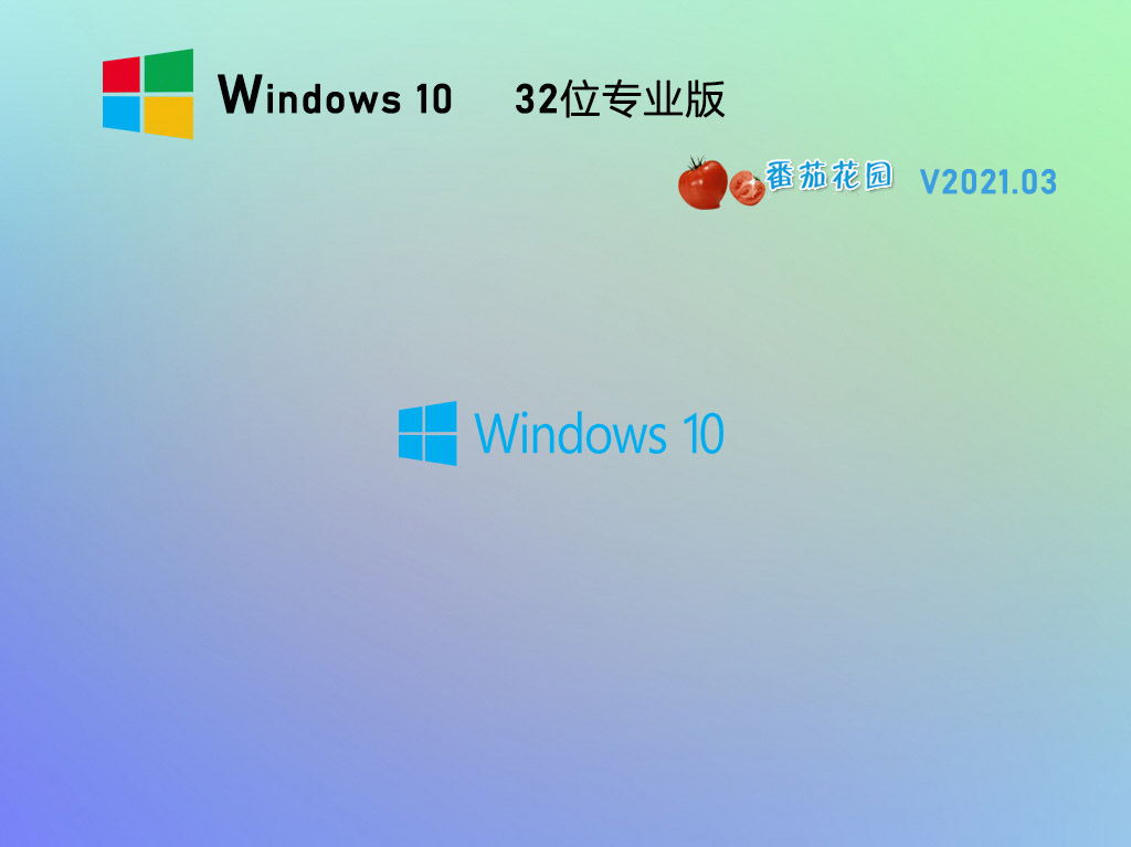 ѻ԰ Windows10 32λ רҵ澵 V2021.03