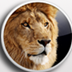 Lion skin pack 13 X86 V13 Ѱ