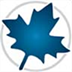 Maplesoft Maple 2021 Ѱ