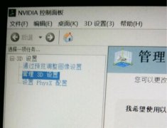 Win10nvidiaֻ3dô죿