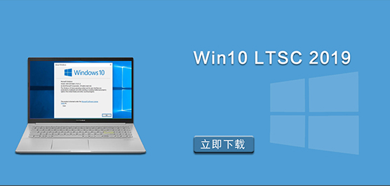 Win10 LTSC 2019汾