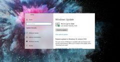 ΢Win10 KB5003214ѡֳBugʹ硱