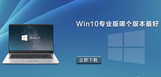 Win10רҵĸ汾