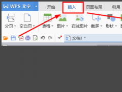 Wpsʽ༭ô