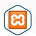 XAMPP V8.0.7 °