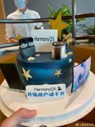 ϵͳûϲΪHarmonyOS 2ûͻ1000