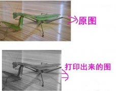 ӡͼƬȫô죿ӡͼƬȫĽ