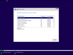 Windows 11й¶Windows11ԭڲ⾵صַ