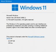 Win11ԤӢISO!(صַ)