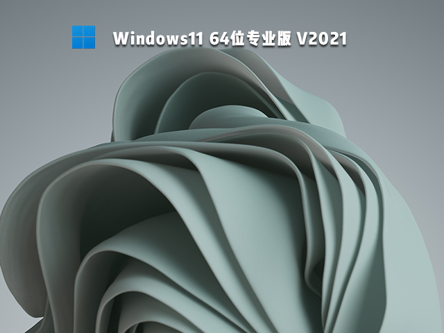 Windows11 64λרҵ V2021