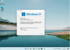 Windows11ȷϣԤ624ʽƳ