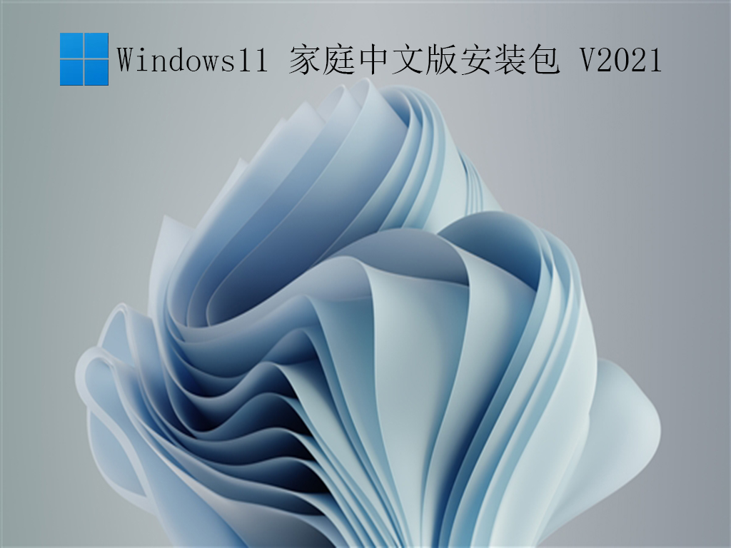 Windows11 ͥİ氲װ V2021