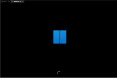 Win11ôװWin11氲װ