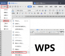 wpsʽ