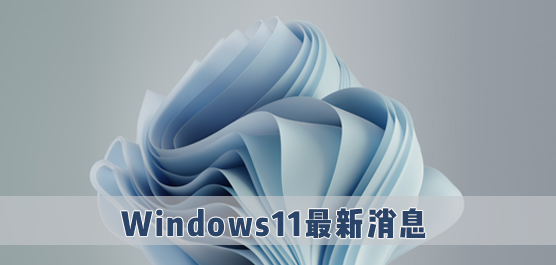 Win11Ϣ_΢Windows11¶̬_ٷWin11Ϣ