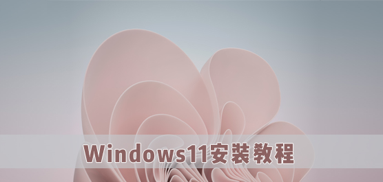 Win11��װ�̳�_Win11��װ����_Win1