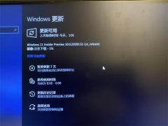 ڲ豸ϽWindows 11汾£