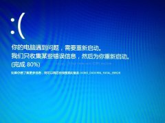 ʾvideo_dxgkrnl_fatal_error