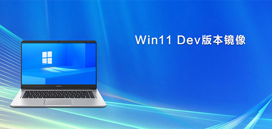 Win11 Dev版本_Win11 Dev镜像更新_