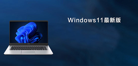 Win11°_Win11רҵ澵_Windows11ϵͳ