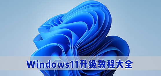 Win11̳