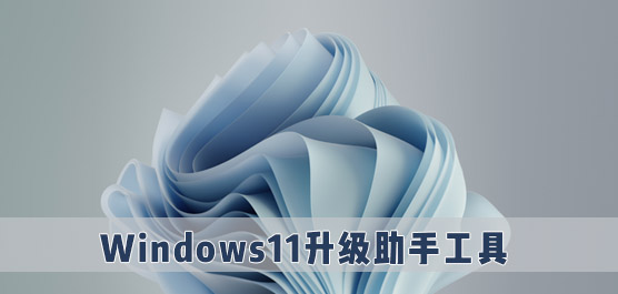 Win11ֹ