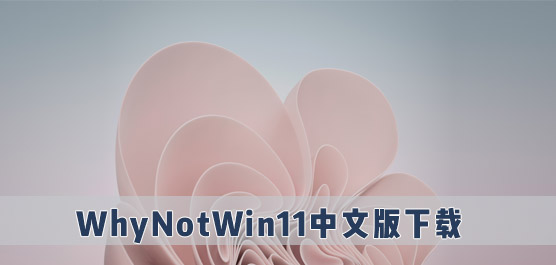WhyNotWin11İ