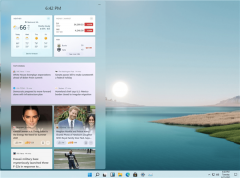 ΢Win11ֵ֧СĻɵʾ
