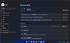 Windows 11 Dev Build 22000.65Ԥ֪бܣ