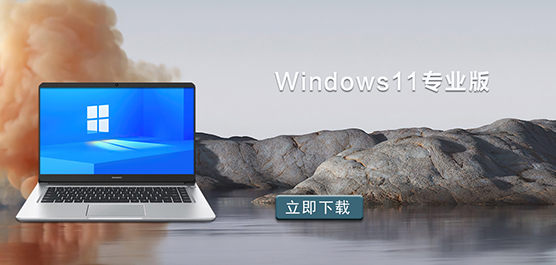 Win11专业版下载_Windows11专业版系统_Windows11专业版镜像下载