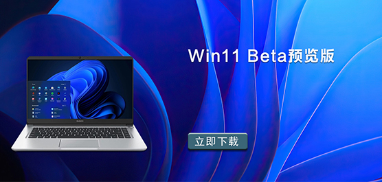 Win11 BetaԤ_Win11ԤBeta