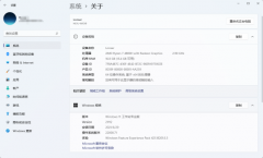 ļ汾ƥ䵼build 22000.xxxĳЩԵķ붪ʧô죿