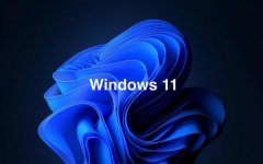 Win11רҵͼͥĸãWin11רҵͼͥԱ