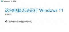 Win11ʾְ֧ȫô