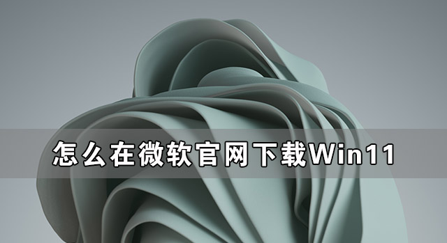 ô΢Win11 δ΢Win11