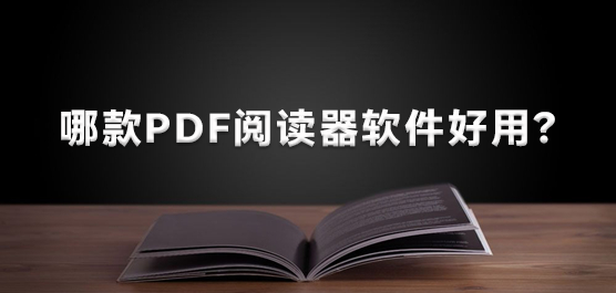 ĿPDFĶã