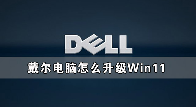 ôWin11 Win11ϵͳ̳
