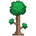 ̩ V1.4.0.5 ɫİ