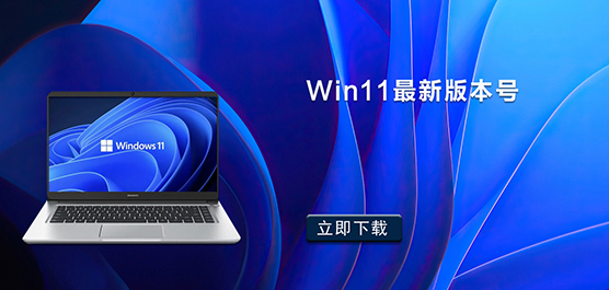 Win11°汾_Win11Ԥ_