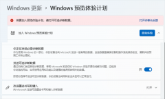 Win11WindowsԤƻ޷ô죿