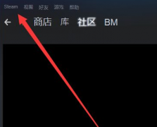SteamϷʾдô£